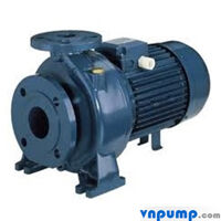 Máy bơm ly tâm trục ngang đầu gang Ebara MD 40-250/15 20HP