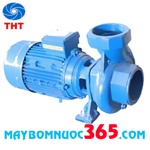 Máy bơm ly tâm trục ngang đầu gang Mitsuky CST300/3 3HP