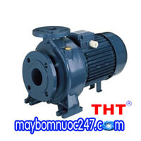 Máy bơm ly tâm trục ngang đầu gang EBARA MD 40-250 15HP