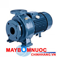 Máy bơm ly tâm trục ngang đầu gang cánh inox Ebara 3D 40-200/5.5 7.5HP