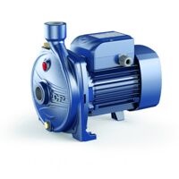 Máy bơm ly tâm trục ngang Pedrollo CP 160B - 2HP