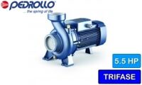 Máy bơm ly tâm trục ngang Pedrollo HF 20A - 5.5HP