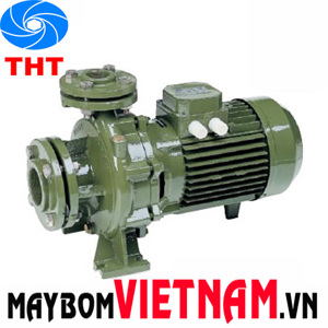 Máy bơm ly tâm trục ngang SAER IR50-125A 5.5HP