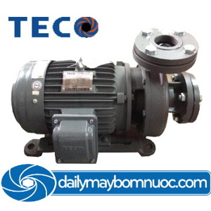 Máy bơm ly tâm trục ngang Teco G310-50-2P 10HP