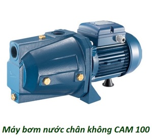 Máy bơm nước chân không Ewara CAM 100