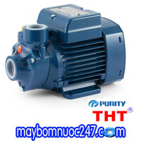 Máy bơm nước đẩy cao Purity QB60 0.5HP