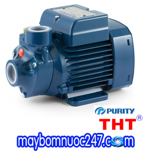 Máy bơm nước đẩy cao Purity QB60 0.5HP