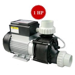 Máy bơm nước hồ bơi Ewara WP 200IT - 2HP