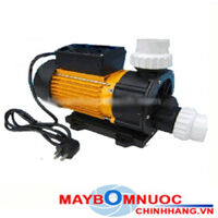 Máy bơm nước hồ matxa-spa THT WP300 3HP