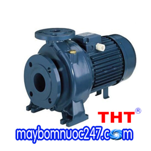 Máy bơm nước ly tâm trục ngang đầu gang Ebara 3D 65-160/11 15HP