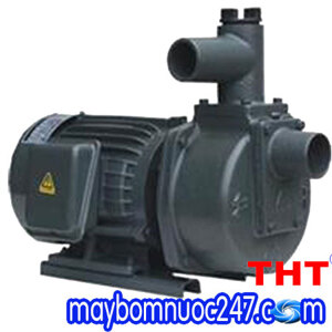 Máy bơm nước thải trục ngang NTP HSP250-1.75 205 1HP