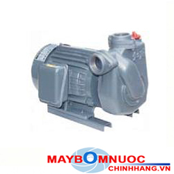 Máy bơm nước Tuabin NTP HTP250-22.2 265 3HP