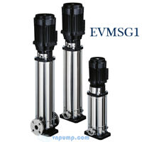 Máy bơm trục đứng Ebara EVMSG1 26F5/1.1 1.5HP