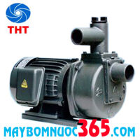 Máy bơm tự hút đầu gang NTP HSP250-1.75 265 1HP