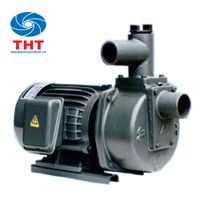 Máy bơm tự hút đầu gang NTP HSP250-11.5 205