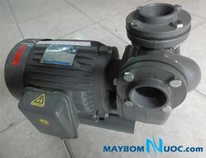 Máy bơm Turbine HTP250-33.7 20