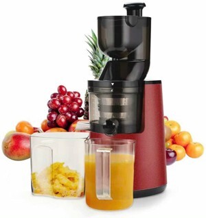 Máy ép chậm Newtech TS-400
