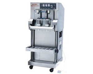 Máy hút chân không công nghiệp DZQ-600L