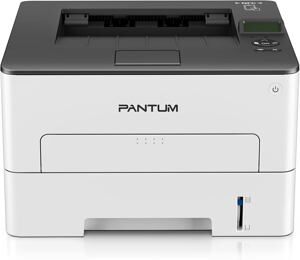 Máy in laser Pantum P3302DW