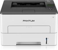 Máy in laser Pantum P3302DW