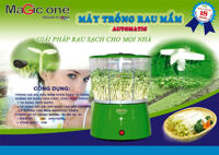 Máy làm rau mầm Magic One MG81 (MG-81)