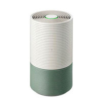 Máy lọc không khí Wells Air Garden AR626