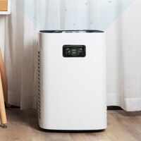 Máy lọc không khí Xiaomi Cleanfly DF500