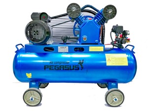 Máy nén khí Pegasus TM-V-0.17/8-120L - 2HP