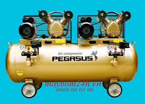 Máy nén khí Pegasus TM-V-0.25/8x2-230L