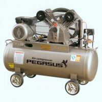 Máy nén khí Pegasus TM-V-1.06/10-500L (15HP)