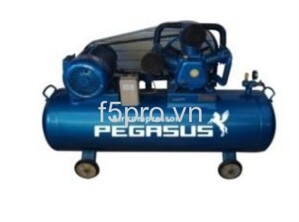 Máy nén khí Pegasus TM-W-1.0/8-500L