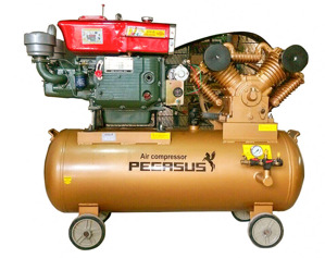 Máy nén khí sử dụng dầu diesel Pegasus TM-W-1.6/12.5-330L-15HP (Đầu nổ D24)