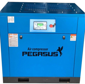 Máy nén khí trục vít biến tần Pegasus TMBT50A