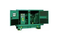 Máy phát điện Cummins C11 D5