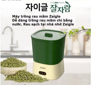 Máy trồng rau mầm Zaigle Hàn Quốc