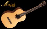 Đàn Guitar Merida Classic T-15