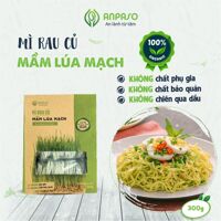 Mì mầm lúa mạch Anpaso Organic gói 300g