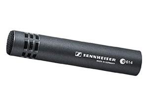 Micro Sennheiser E-614