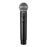 Micro Shure MXW2/SM58