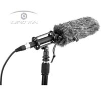 Microphone Boya BY-BM6060