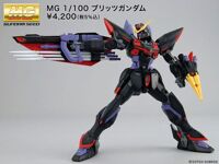 Mô hình lắp ráp Gundam MG GAT-X207 Blitz