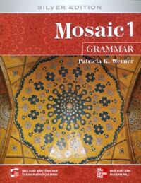 Mosaic 1 (Silver Edition): Grammar - Patricia K. Werner