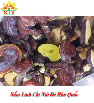 Nấm Linh Chi Núi Đá Hàn Quốc