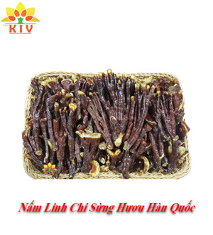 Nấm linh chi sừng hươu 1kg