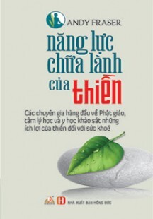 Năng Lực Chữa Lành Của Thiền