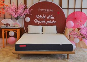 Nệm Foam Oyasumi 7 Zone 120*200*20cm