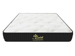 Nệm lò xo túi Isabelle 7 vùng – Memory Foam