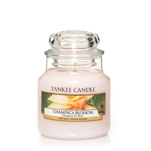 Nến hũ Yankee Candle Champaca Blossom size S (size nhỏ)