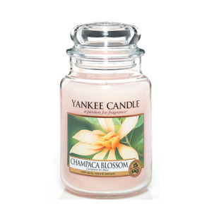 Nến hũ Yankee Candle Champaca Blossom size L (size lớn)