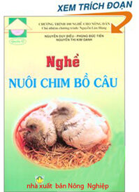 Nghề Nuôi Chim Bồ Câu - Siêu Hải